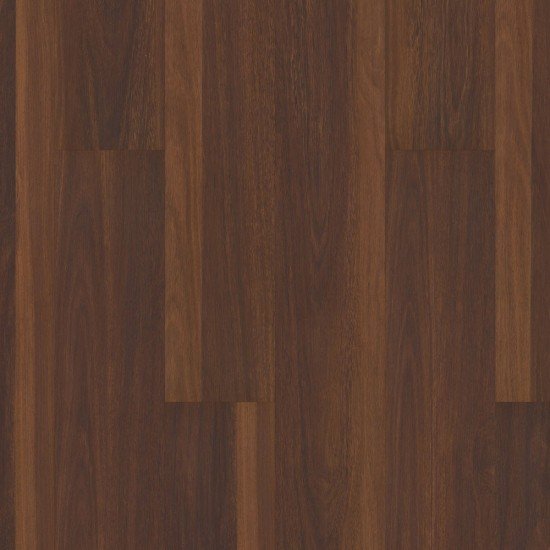 COREtec Pro Plus - Biscayne Oak COREtec Pro Plus - Biscayne Oak